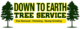 Down to Earth Tree Service