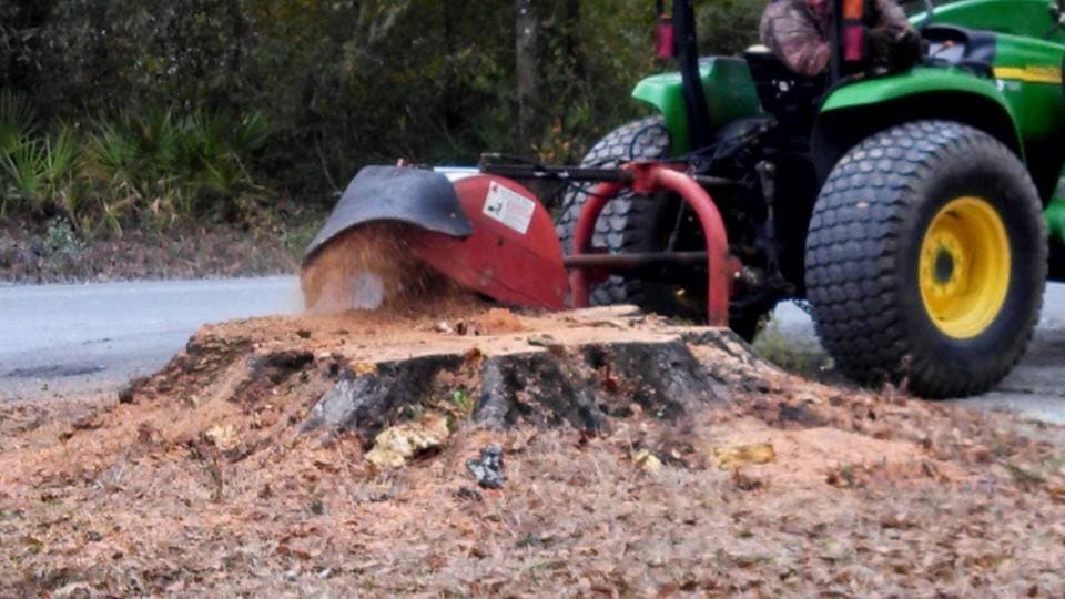 Tree Stump Removal — Stump grinding that takes the eyesore below grade so you can plant grass, lay sod, or fill the spot.